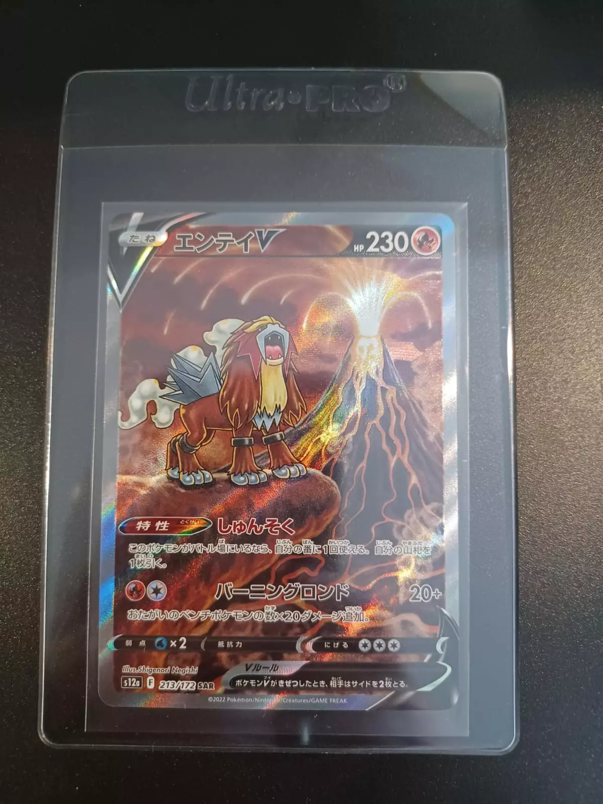 s12a_F_213-172_SAR_2_JAP_Entei_V_ALT